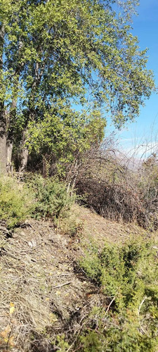 Venta Terreno - Sitio 1500mts San José De Maipo