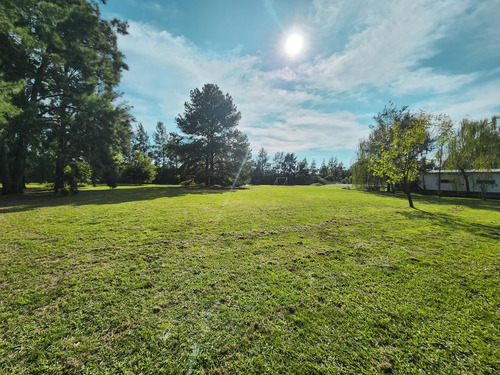 Terreno Sobre Ruta 34 Con 1750m2, Ibarlucea
