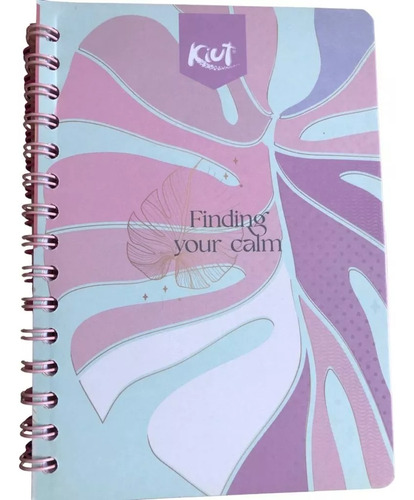 Cuaderno Frances Kiut Norma 100hjs Raya (3 Piezas)