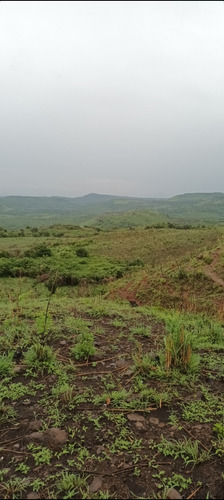 Imagen 20 de 30 de Se Vende Finca De 154 Manzanas