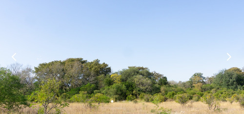 Imagen 9 de 14 de Terreno En Venta, Azahar, Montemorelos