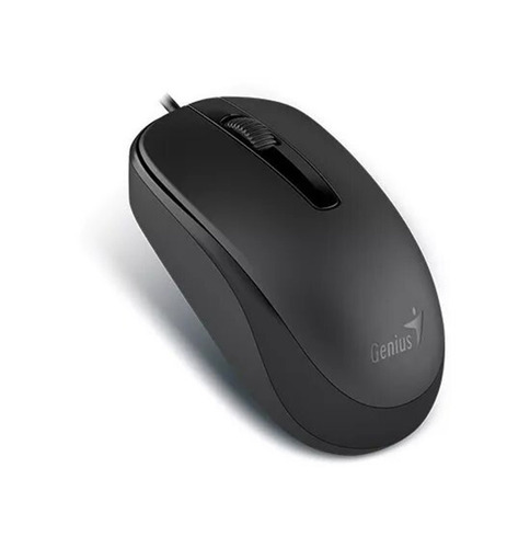 Mouse Genius Dx-120 Usb Negro