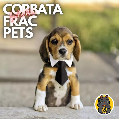 Corbata Cuello Formal Perros Y Gatos Delivery Express 24hrs