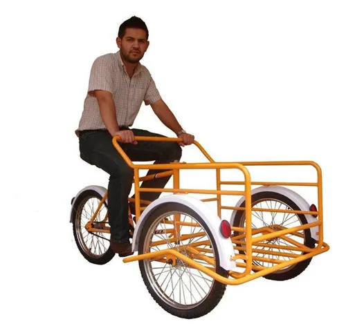 Triciclo de sales carga chico