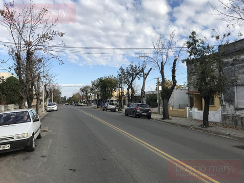 Imagen 5 de 12 de Local - Colonia Del Sacramento