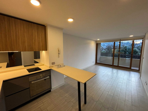 Departamento De 1 Dormitorio En Arriendo (109045)