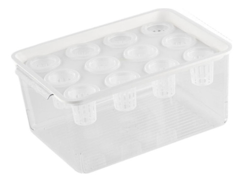 Caja De Hidropónico, Contenedor De Plantación Con
