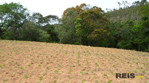 Imagem 19 de 30 de Sítio À Venda, 10000 M² Por R$ 250.000,00 - Piedade - Piedade/sp - Si0017