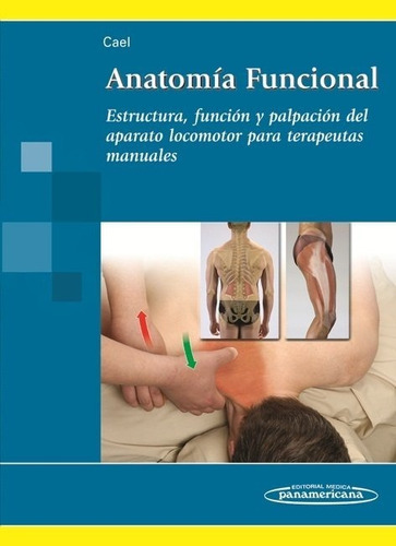 Anatomía Funcional Estructura Función Y Palpación  Cael