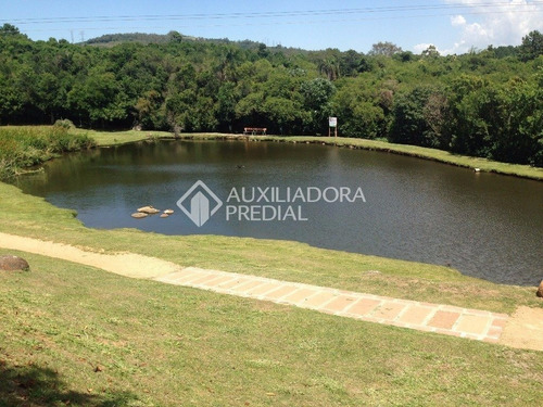 Imagem 14 de 15 de Terreno Em Condominio - Petropolis - Ref: 244704 - V-244704