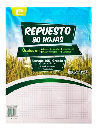 Repuesto 80 Hojas Cuadriculada / Grande Con 5 Perforaciones 