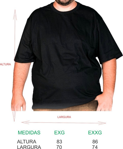 Imagem 2 de 10 de Camisa,camisetas De Rock Variados Mod Plus Size Frete Grátis