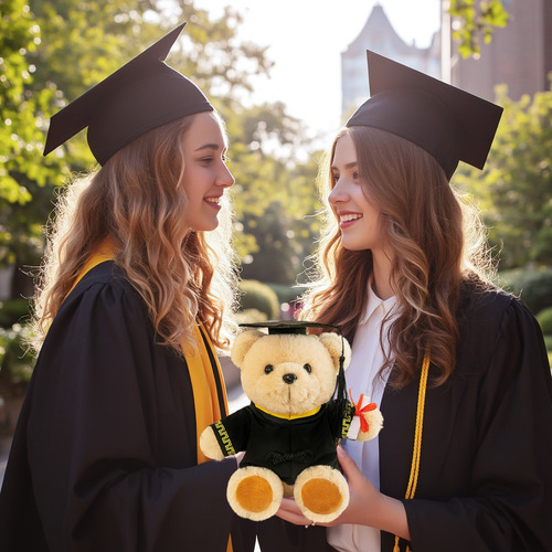 Peluche De Graduación Oso Con Bolsa Regalo Y Tarjetas