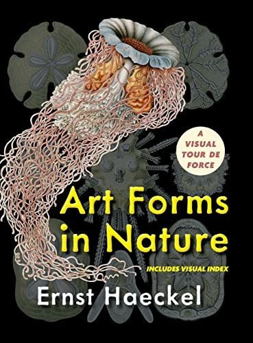 Book : Art Forms In Nature (dover Pictorial Archive) - _y