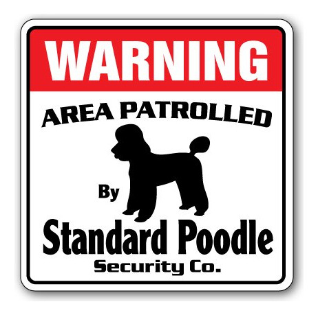 Estandar Caniche Seguridad Area Patrullada Perro Mascota