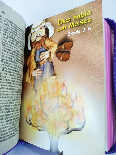 Imagen 6 de 10 de Biblia Amigos Por Siempre Rvr1960 Acolchonada Con Cierre