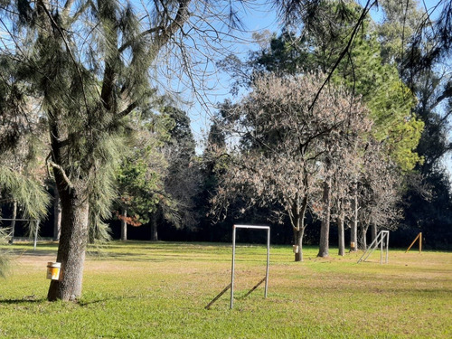 Imagen 2 de 10 de Venta De Lote 320 M2 En Villa Udaondo