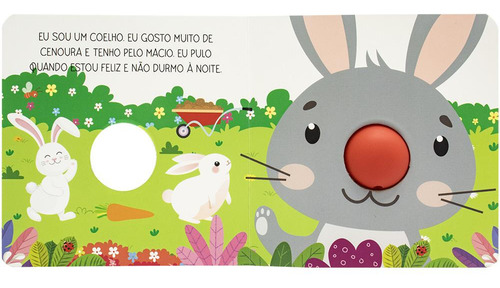 Aperte Meu Nariz! Um Livro-squeaky: Animais De Estimação, De Brijbasi., Vol. 1. Editorial Todolivro, Capa Dura, Edição 1 Em Português, 2024