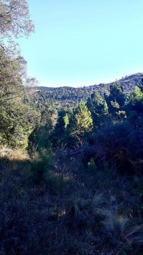 Imagen 2 de 6 de Lote En Venta, San Clemente, Santa Maria, Córdoba.