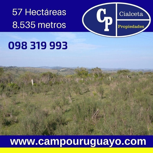 Campo Pintoresco, Con Altura, Cañada