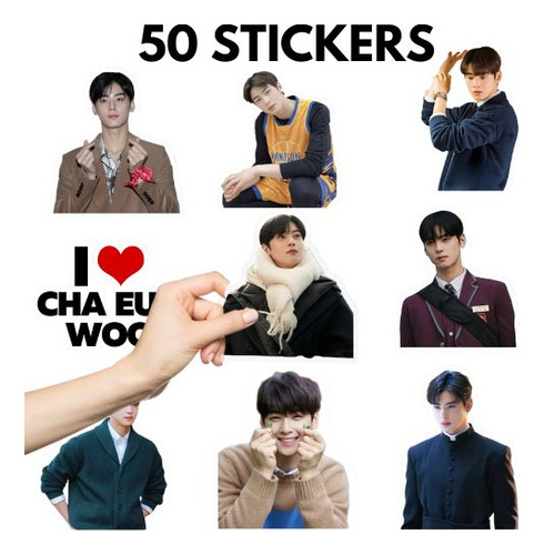 Cha Eun Woo 50 Stickers Astro Stickers Cha Eun Woo Stickers