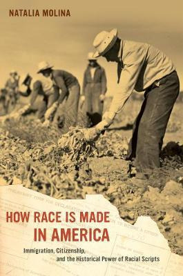 Libro How Race Is Made In America : Immigration, Citizens...