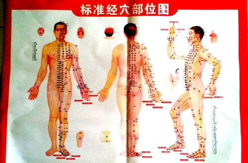  Lamina Para Medicina Tradicional China - Oferta