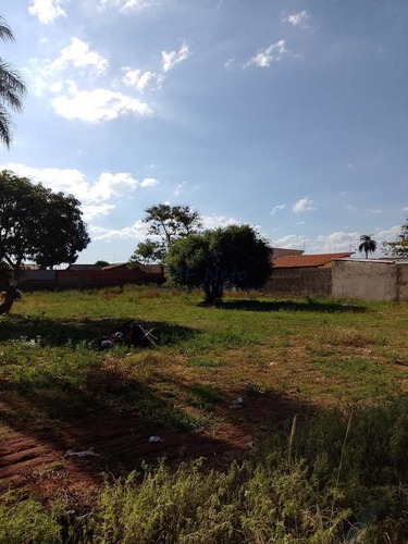 Imagem 11 de 14 de Terreno, Vila São Pedro, Pirassununga - R$ 400 Mil, Cod: 10132268 - V10132268