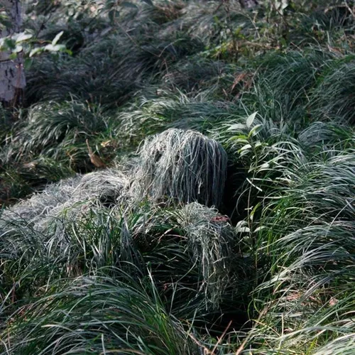 Roupa Chewbacca Sniper Ghillie Camuflada Airsoft 3d Caça