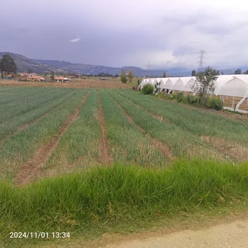 Se Vende Lote De 2000 M2
