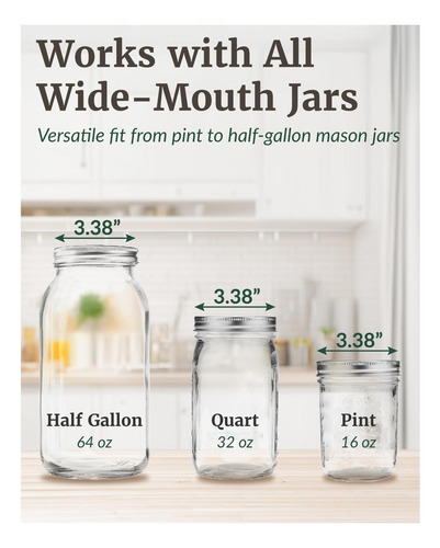 Elementi Mason Jar Kit De Fermentación Juego De 4 Pesos De Y