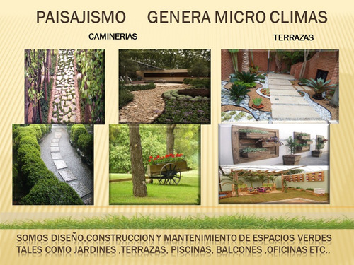 Imagen 5 de 10 de Servicios De Jardineria Paisajismo Vivero Plantas Y Mas