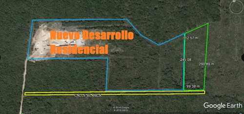 Imagen 7 de 7 de Terreno En Venta En Conkal 2.6 Hectáreas,mérida Yucatán