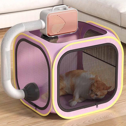 Secador De Pelo Para Perros Y Gatos, Habitación Limpia Y De