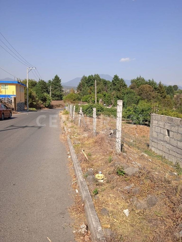 Vendo Terreno Productivo Con Árboles De Aguacate. Oportunidad De Inversión!