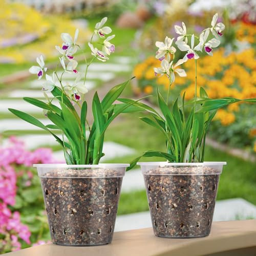 Macetas Transparentes Para Orquídeas Con Agujeros, Juego De