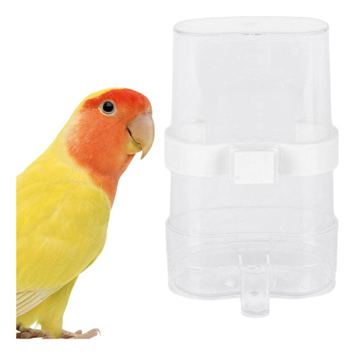 Comedero Para Pájaros, Recipiente Transparente Para Comida,