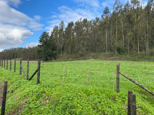 Hermosas Parcelas Cercanas A Arauco, Uso Habitacional