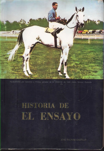 Historia De El Ensayo - José Salinas Castillo