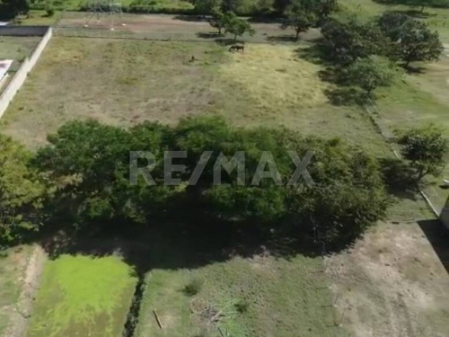 Tibisay Rojas Vende Bella Propiedad Campestre Con Caballerizas Y Potreros En Urb. El Piñal. Güigüe   Cod.208834