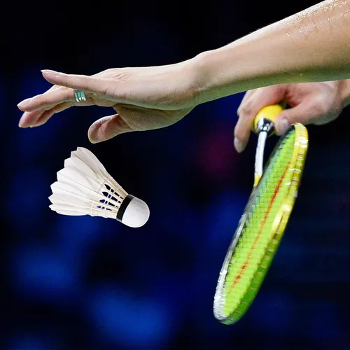 Volantes De Bádminton De Plumas Pelota De Bádminton De Alta