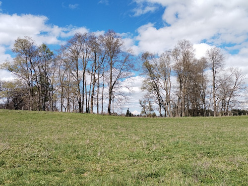 A La Venta Preciosas Parcelas A Sólo 3,5 Km De Osorno