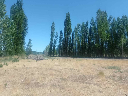 Terrenos En Venta, Loteo Manantiales Del Limay