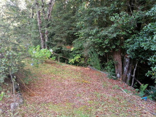 Imagen 29 de 30 de Casa Caburgua/caburgua