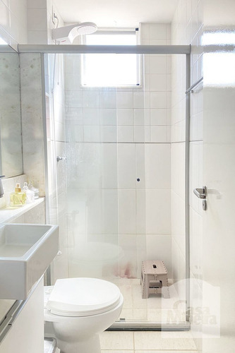 Imagem 13 de 15 de Apartamento À Venda No Pilar - Código 462704 - 462704