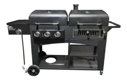 Asador Hibrido Gas Y Carbón Acero Inoxidable, Members M Msi
