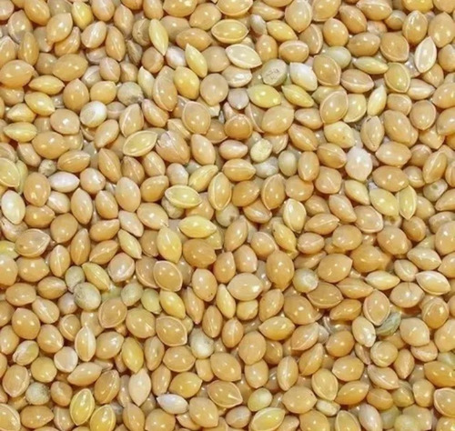 Imagen 4 de 7 de Mijo Para Aves Pajaros Alimento Semilla 25kg Bolson Criadero