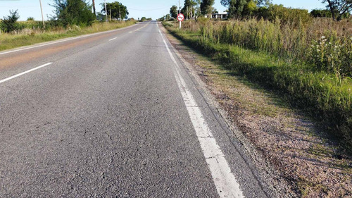Imagen 5 de 7 de Chacra De 7,2 Has Sobre Ruta 21. La Horqueta