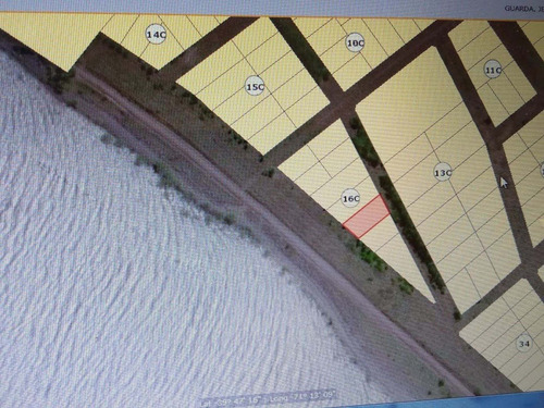 Imagen 7 de 9 de Lote Forestado Frente Al Lago Huechulafquen