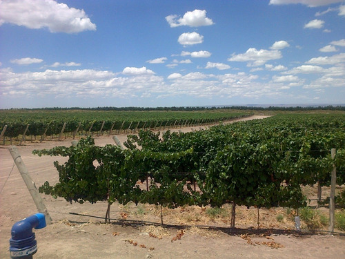Imagen 5 de 10 de 42.6 Ha, Altamira